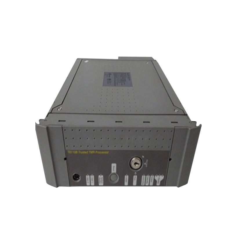 Каковы основные принципы ICS Triplex?
